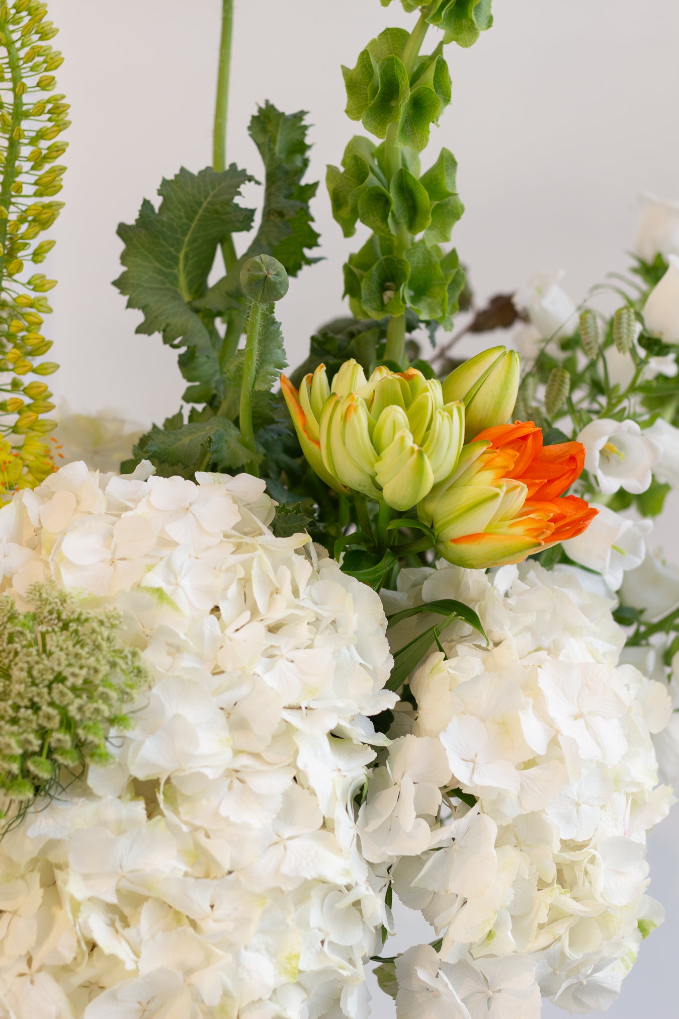 Close-up of a bouquet with green, orange, and white flowers on a light background