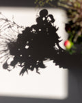 Blurred image of a decorative wreath with a silhouette of a couple and a red berry.